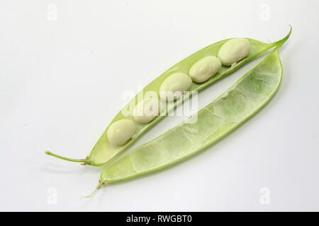 Verde fagiolo (Phaseolus vulgaris). Aperto dei fagioli freschi pod con semi di bianco. Studio Immagine contro uno sfondo bianco Foto Stock