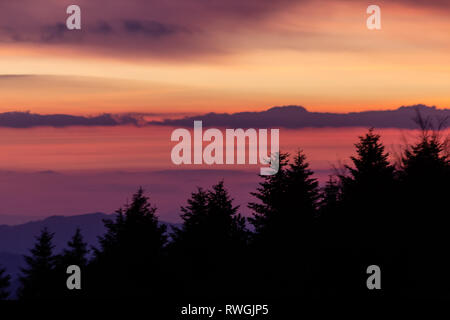 Alberi sagome contro un colore bellissimo cielo al tramonto, con montagne di strati in background Foto Stock