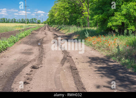 Giugno paesaggio con una massa road accanto a grano campo agricolo vicino Dnipro city, Ucraina Foto Stock