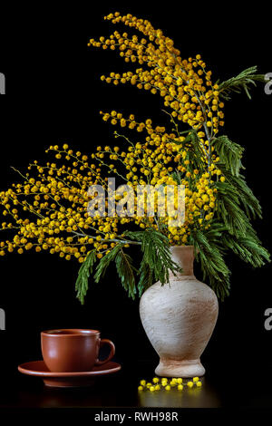 Giallo mimosa fiori in un vaso di ceramica su una tavola nera Foto Stock