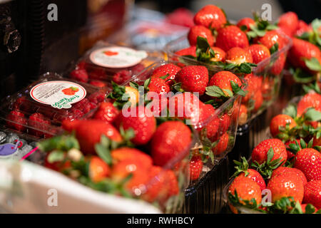 Le fragole in vendita. Cibo sano. Mercato. Prezzo. Vegane. Cibo verde. Delizioso. Yummy. Vegetariano. Mangiar bene. Fatto a mano. Cucina casalinga. Foto Stock