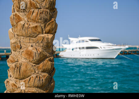 Palm tronco di albero vicino sulla spiaggia con grande bianco costoso yacht su una soleggiata giornata estiva Foto Stock