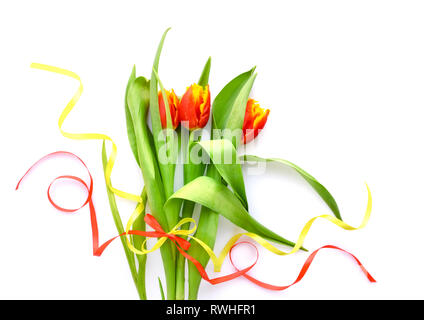 I tulipani Fiori su fondo bianco. Vista dall'alto. Foto Stock