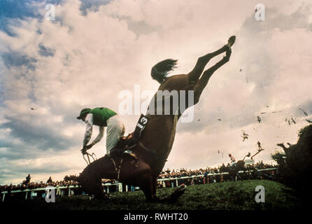 Gran gara nazionale Bechers Brook recinto 1988 Foto Stock