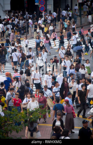 Asia, Giappone, Tokyo, Shibuya cross Foto Stock