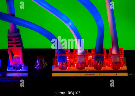 Internetverbindung, RJ45 Stecker, LAN Kabel, Patchkabel, in einem Internetmodem, Ethernet, Foto Stock