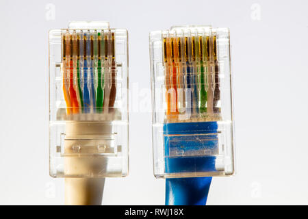 Internetverbindung, RJ45 Stecker, LAN Kabel, Patchkabel, Ethernet, Foto Stock