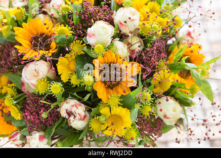 La botanica, tarda estate round hardcover mazzetto, attenzione! Per Greetingcard-Use / Postcard-Use nei Paesi di lingua tedesca talune restrizioni possono applicare Foto Stock