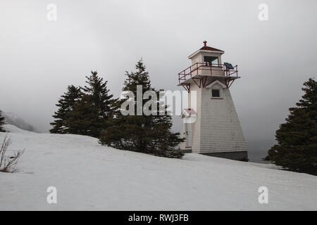 Punto di Woody, Parco Nazionale Gros Morne, Terranova e Labrador Foto Stock