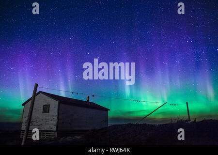 Stelle & Northern Lights Aurora Boreale su punto di ginestra, Parco Nazionale Gros Morne, Terranova e Labrador Foto Stock