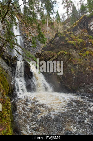 PLODDA CADE TOMICH Highland scozzesi dalla piattaforma a basso scende al di sotto di Foto Stock