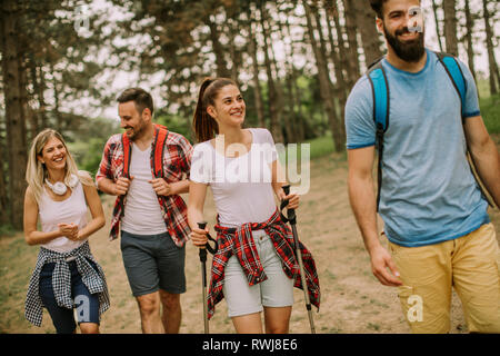 Il gruppo di quattro amici escursionismo insieme attraverso una foresta al giorno di sole Foto Stock