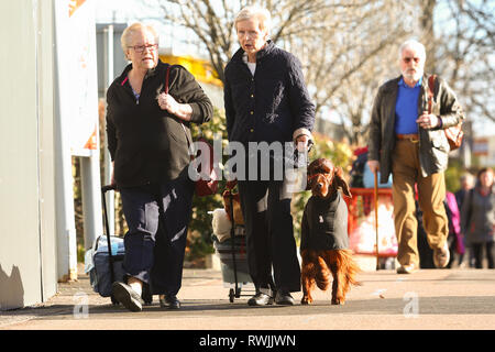 Birmingham, Regno Unito. 7 Mar, 2019. Visualizza i cani che arrivano con i loro proprietari per il primo giorno di Crufts 2019 che si terrà presso il NEC oltre quattro giorni. 27.000 i cani sono attesi per essere mostrato in quattro giorni, 220 razze diverse e con una stima di 165.000 gli amanti del cane la visita. Credito: Pietro Lopeman/Alamy Live News Foto Stock