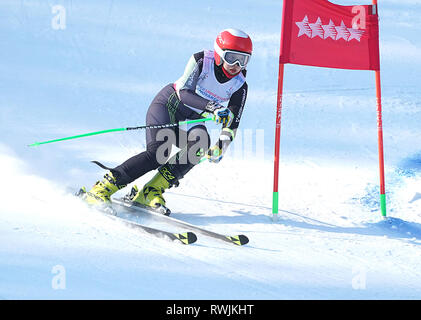 Krasnoyarsk, Russia. 7 Mar, 2019. Della Cina di Han Xuerong compete durante la donna slalom gigante di sci alpino a Krasnoyarsk, Russia, Marzo 7, 2019. Credito: Egli Changshan/Xinhua/Alamy Live News Foto Stock