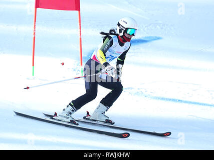 Krasnoyarsk, Russia. 7 Mar, 2019. Della Cina di Zheng Chengcheng compete durante la donna slalom gigante di sci alpino a Krasnoyarsk, Russia, Marzo 7, 2019. Credito: Egli Changshan/Xinhua/Alamy Live News Foto Stock