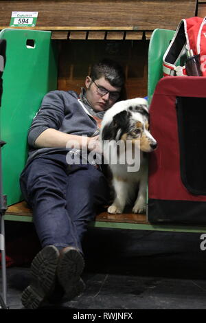 Birmingham, Regno Unito. 7 Mar, 2019. La giornata è stata troppo per alcuni al Crufts 2019 Credit: ️Jon Freeman/Alamy Live News Foto Stock