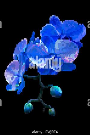 Blu navy fiori di prato pixel art Illustrazione Vettoriale