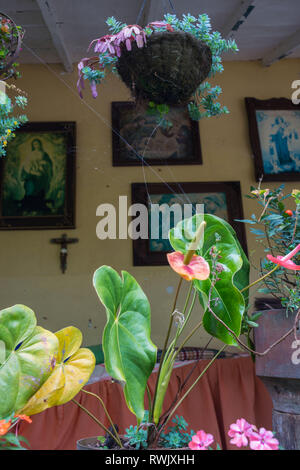 Donmatias, Antioquia, Colombia: finca - country house. Foto Stock