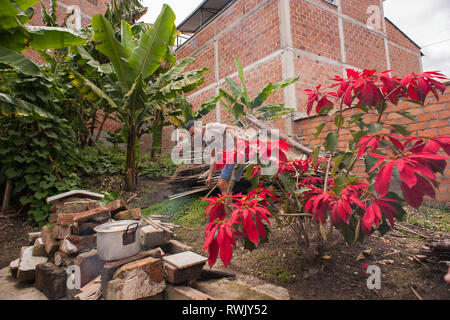 Donmatias, Antioquia, Colombia: Don Pedro's home. Foto Stock