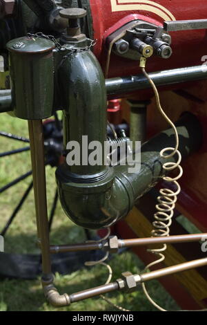 Vapore di platano mostra Taylor Marshall sicomoro fattoria IL Foto Stock