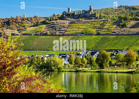 Il vecchio castello in pietra sulla parte superiore del fiume Valle con filari di vigneti lungo pendii ripidi e villaggio sulla riva del fiume con il blu del cielo; Alken, Germania Foto Stock