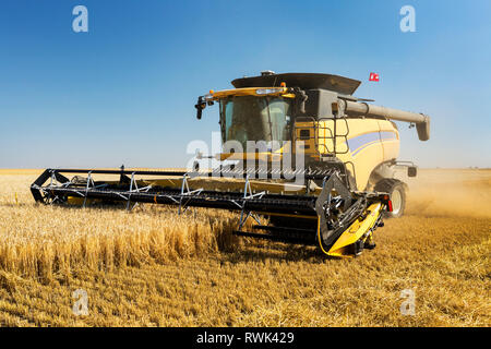 Combinare la raccolta di orzo dorato campo; Beiseker, Alberta, Canada Foto Stock