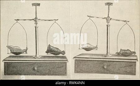 Elementi di biologia; un elementi pratici della biologia; un testo pratico-prenota la correlazione di botanica, zoologia e fisiologia umana elementsofbiolog00hunt Anno: [c1907] FOGLIE E LE LORO FUNZIONI 135 passano il picciolo di una foglia verde attraverso un coperchio di cartone in un bicchiere d'acqua. Sigillare lo spazio tra il picciolo e cartone con innesto di cera (gomme da masticare farà). Invertire un altro vetro sopra il primo. Dopo un'ora, esaminare il vetro superiore e un avviso nel caso in cui il tasso di umidità ha raccolto. Come ci si arriva? Il seguente esperimento mostra che la quantità di acqua passata fuori attraverso le foglie da t Foto Stock