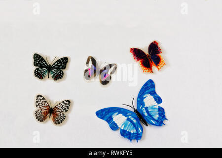 Serie di bellissimi e decorativi differenti farfalle isolato con sfondo bianco. Foto Stock