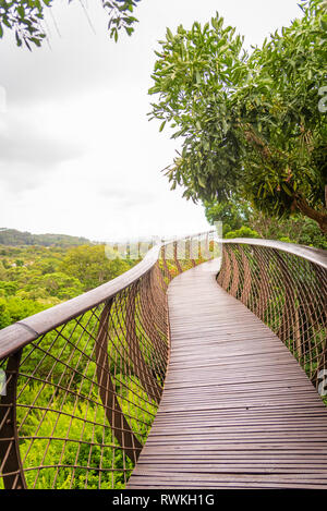 Kirstenbosch National Botanical Garden è acclamato come uno dei più grandi giardini botanici del mondo. Città del Capo, Sud Africa Foto Stock