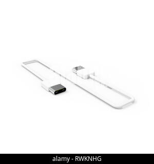 Il 3D rendering di USB4 cavo isolato su sfondo bianco Foto Stock