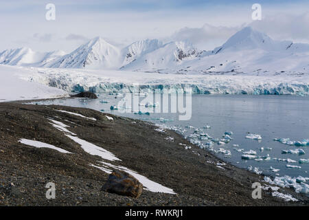 Il paesaggio costiero con mare di ghiaccio e montagne coperte di neve, Isbjornhamna, Hornsund bay, Spitsbergen, Svalbard, Norvegia Foto Stock