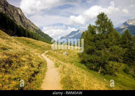 Passeggiate intorno al lago di Sils - Engadina alta valle - Svizzera Foto Stock