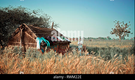 Vrindavan, India - LUG 2018: una mezza età agricoltore indiano in piedi accanto a lui home in campo. Foto Stock