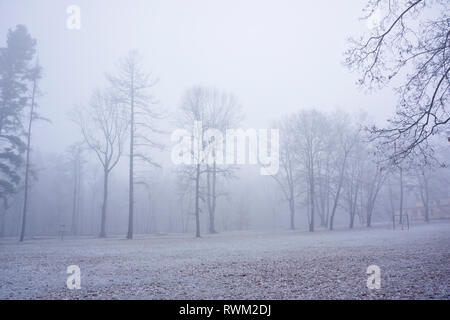 Inverno mattina nei boschi con il gelo e la nebbia Foto Stock