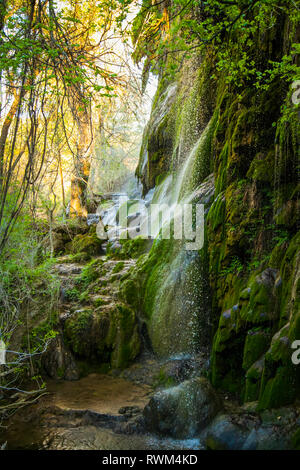 Coperte di muschio rocce sotto Gorman cade, Colorado Bend State Park, Texas, Stati Uniti d'America Foto Stock