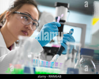 Scienziato il pipettaggio di campione nella fiala per i test genetici in laboratorio Foto Stock
