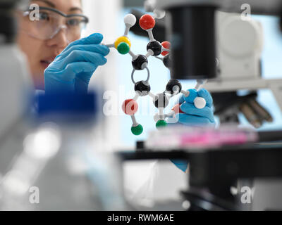 Scienziato progettazione di farmaco formula usando la sfera e stick modello molecolare in laboratorio Foto Stock