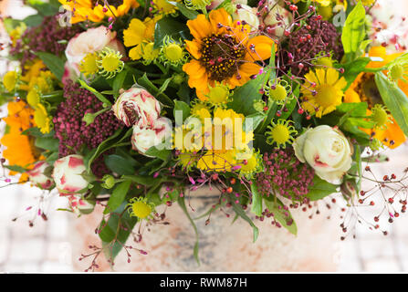 La botanica, tarda estate round hardcover mazzetto, attenzione! Per Greetingcard-Use / Postcard-Use nei Paesi di lingua tedesca talune restrizioni possono applicare Foto Stock