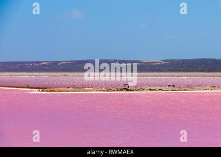 Diverse parti del Lago Rosa accanto a Gregorio in Australia Occidentale Foto Stock