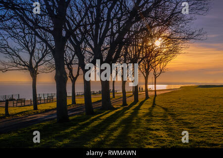 Ombre lunghe formata dalle imponenti alberi su Ramsgate Royal Esplanade al tramonto di un giorno d'inverno come un giovane a piedi lungo la scogliera lungomare Foto Stock