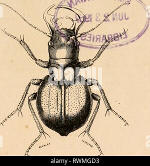 Encyclopédie d'histoire Naturelle; ou, traité EncyclopÃ©morire d'histoire Naturelle; ou, traitÃ© complet de cette science d'aprÃ¨s les travaux des naturalistes les plus Ã©minents de tous les pays et de toutes les Ã©poques: Buffon, Daubenton, LacÃ©Pí¨de, G. Cuvier, F. Cuvier, Geoffroy Saint-Hilaire, Latreille, De Jussieu, Brongniart, etc encyclopdiedhi15chen Anno: [186-?-187-?] ENCYCLOPÃDIE D'Histoire Naturelle ou TRAITÃ COMPLET DE CETTE SCIENCE d'aprÃ¨s LES TRAVAUX DES NATURALISTES LES PLUS ÃNUNENTS DE tous les pays ET DE TOUTES LES ÃPOQUES BUFFON, DAUBENTON, LACÃPÃDE, 6. CUVIER, F- Cuvier, GEOF Foto Stock