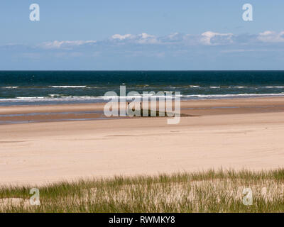 Vista sulle dune con erba e la spiaggia sul Mare del Nord vicino a Domburg sull'isola di Walcheren, Zeeland, Paesi Bassi Foto Stock