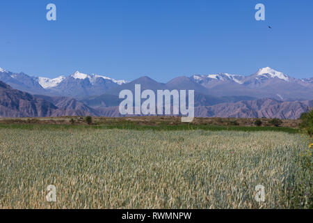 Bellissimo paesaggio di montagna nella regione di Karakol, Kirghizistan Foto Stock