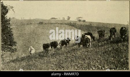 Gli elementi della pratica agricola, preparato degli elementi della pratica agricola, preparati specialmente per l'insegnamento elementare di agricoltura; elementsoffarmpr01wils Anno: 1915 22 ELEMENTI DELLA PRATICA AGRICOLA primavera. Aratura terreni argillosi che è umido non è obiezione- in grado, tuttavia, se fatto in autunno e il campo non è seminato fino a primavera, come lo scongelamento e il congelamento durante l'inverno aiuti nel polverizzare eventuali zolle che può formare. Luce sabbioso o terreno vegetale può essere arato quando bagnato senza gravi problemi. Tempo di anno per aratro.-Come regola di un inizio di caduta l'aratura è preferibile in quanto consente il terreno per diventare estinta prima dell'c Foto Stock