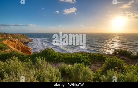 Bella erba al vento in cima ad alte scogliere del punto Vicente con onde che si infrangono nella scogliera sottostante, Rancho Palos Verdes, Califor Foto Stock