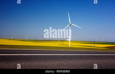 Le turbine eoliche. I campi con mulini a vento. Campo di colza in fiore. Fonti di energia rinnovabili. Proteggere l'ambiente. Foto Stock