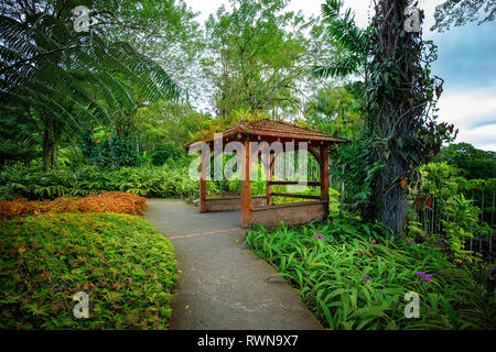 Fort-de-France, Martinica - 15 Gennaio 2018: Tropicale Balata garden. La Balata è un giardino botanico situato sulla Route de la balata circa 10 km fuori Foto Stock