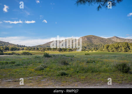 Club de Golf Alcanada prese vicino lontano d'Alcanada Lighthouse vicino a Alcudia maiorca (Mallorca), isole Baleari, Spagna Foto Stock