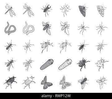 Diversi tipi di insetti monocromatico, delineare le icone nella raccolta di set per il design. Insetto vettore di artropodi simbolo isometrica stock illustrazione. Illustrazione Vettoriale