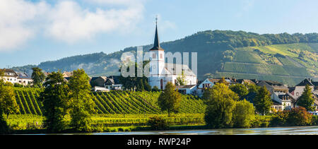 Panorama della chiesa bianca in un villaggio lungo un fiume con vigneti lungo le rive e ripida collina vigneti in background ; Kesten, Germania Foto Stock